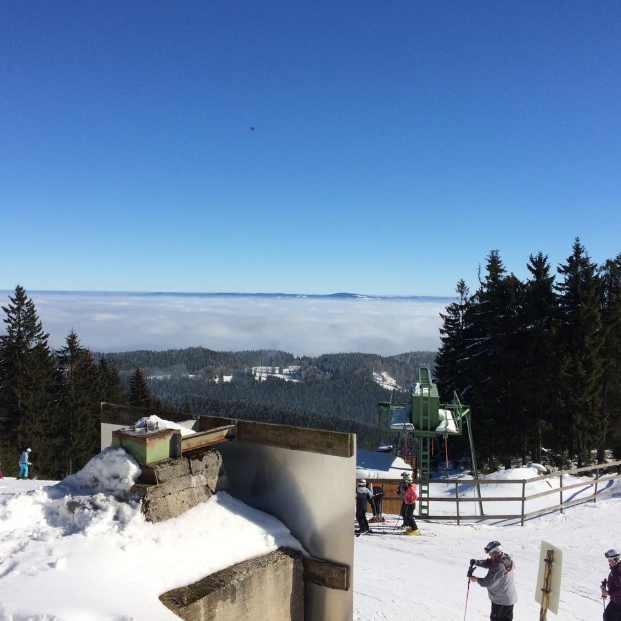 Gasthof Waldschenke Bad Leonfelden Ngoại thất bức ảnh