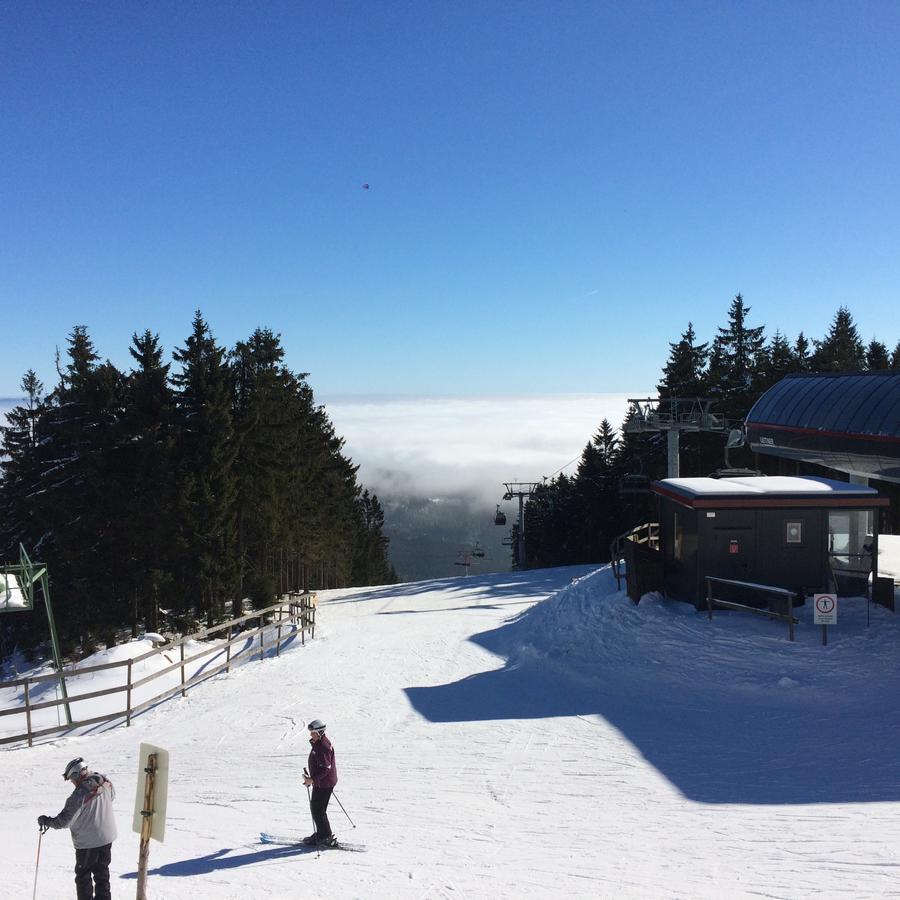 Gasthof Waldschenke Bad Leonfelden Ngoại thất bức ảnh