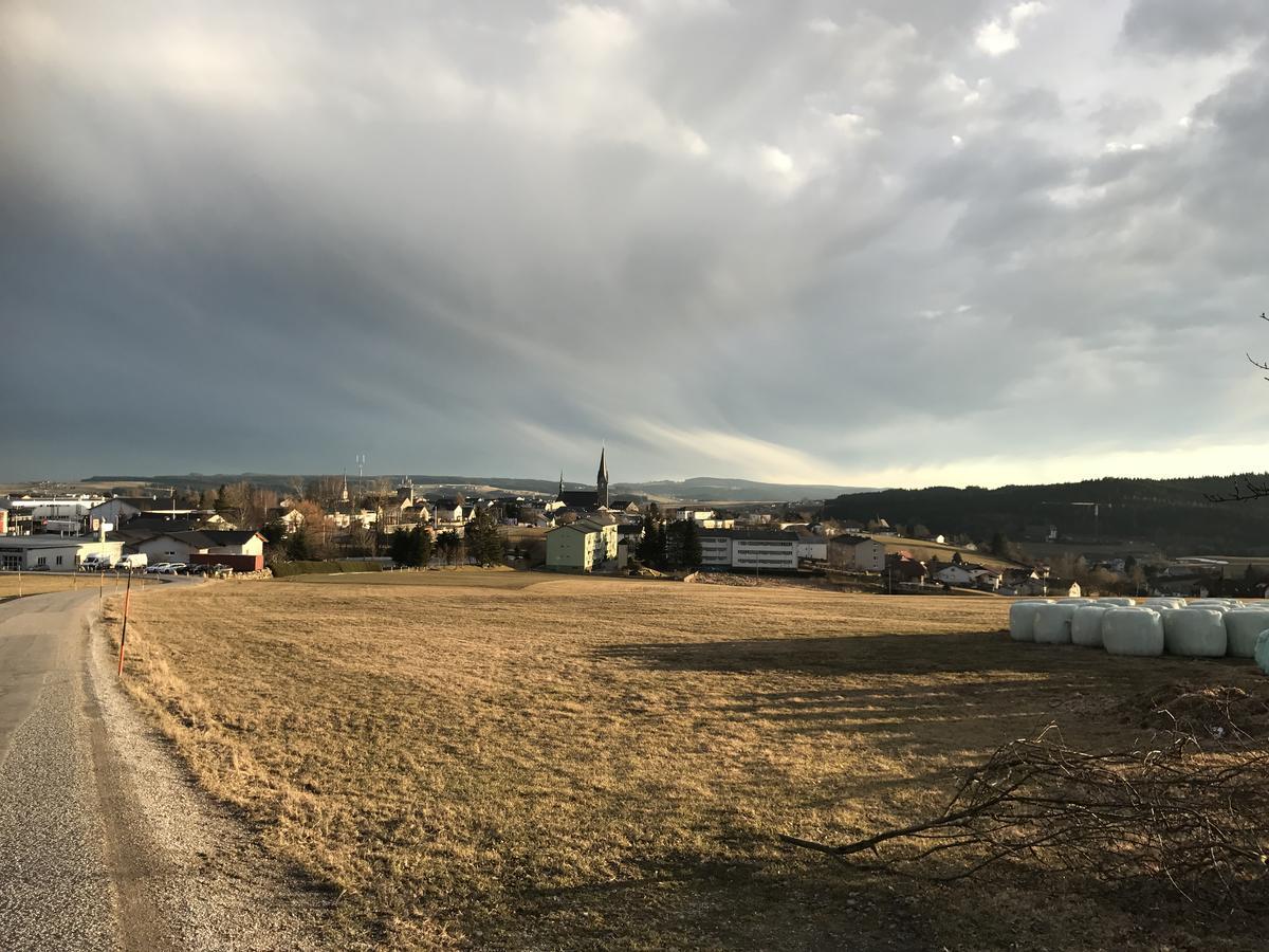 Gasthof Waldschenke Bad Leonfelden Ngoại thất bức ảnh